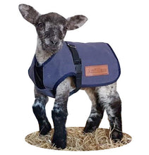 Canvas Lamb coat (wool lined)