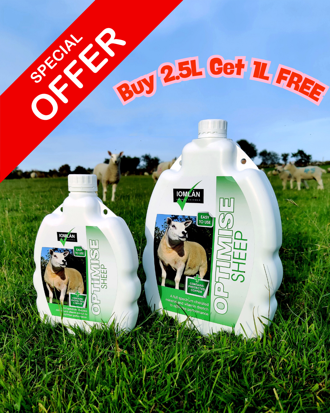 Optimise sheep drench (Special Offer) – Sheepproducts.ie