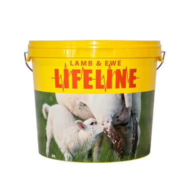 Lifeline Lamb & Ewe