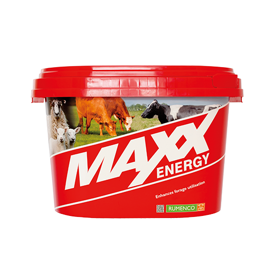 Maxx Energy bucket