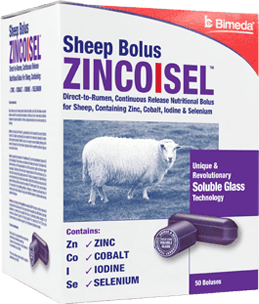 Zincosel Sheep Bolus