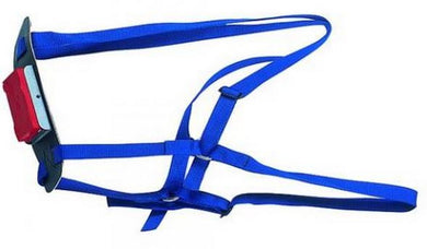 Ram Marking Harness (Nylon) - Sheepproducts.ie