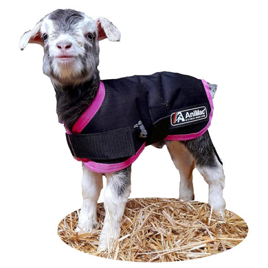 Lamb coat (waterproof)