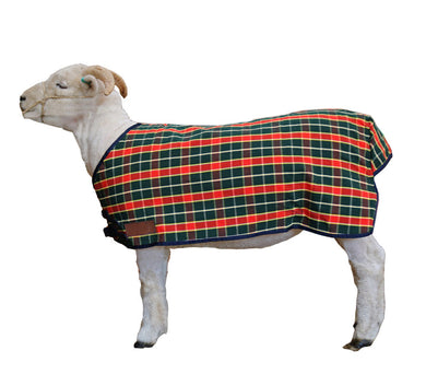 Travel & Show Sheep coat