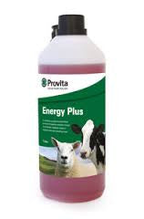 Provita Energy Plus - Sheepproducts.ie