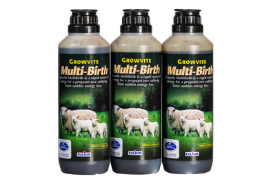 Growvite Multi birth 500ml - Sheepproducts.ie