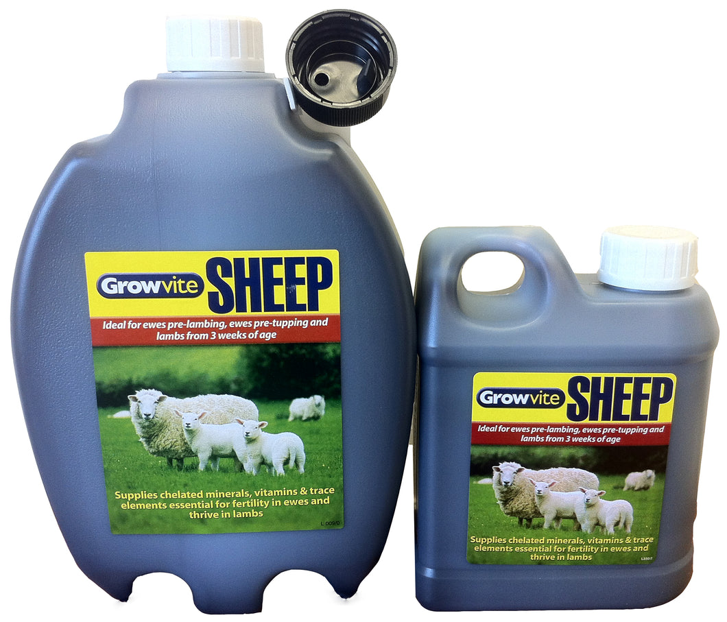 Growvite Sheep (Special Offer) - Sheepproducts.ie