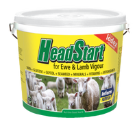 Headstart Ewe & lamb buckets - Sheepproducts.ie