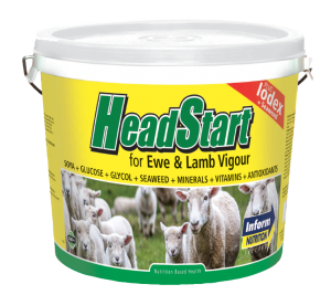 Headstart Ewe & lamb buckets - Sheepproducts.ie