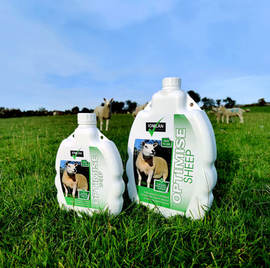 Optimise sheep drench (Special Offer) 5L + 1L Free - Sheepproducts.ie