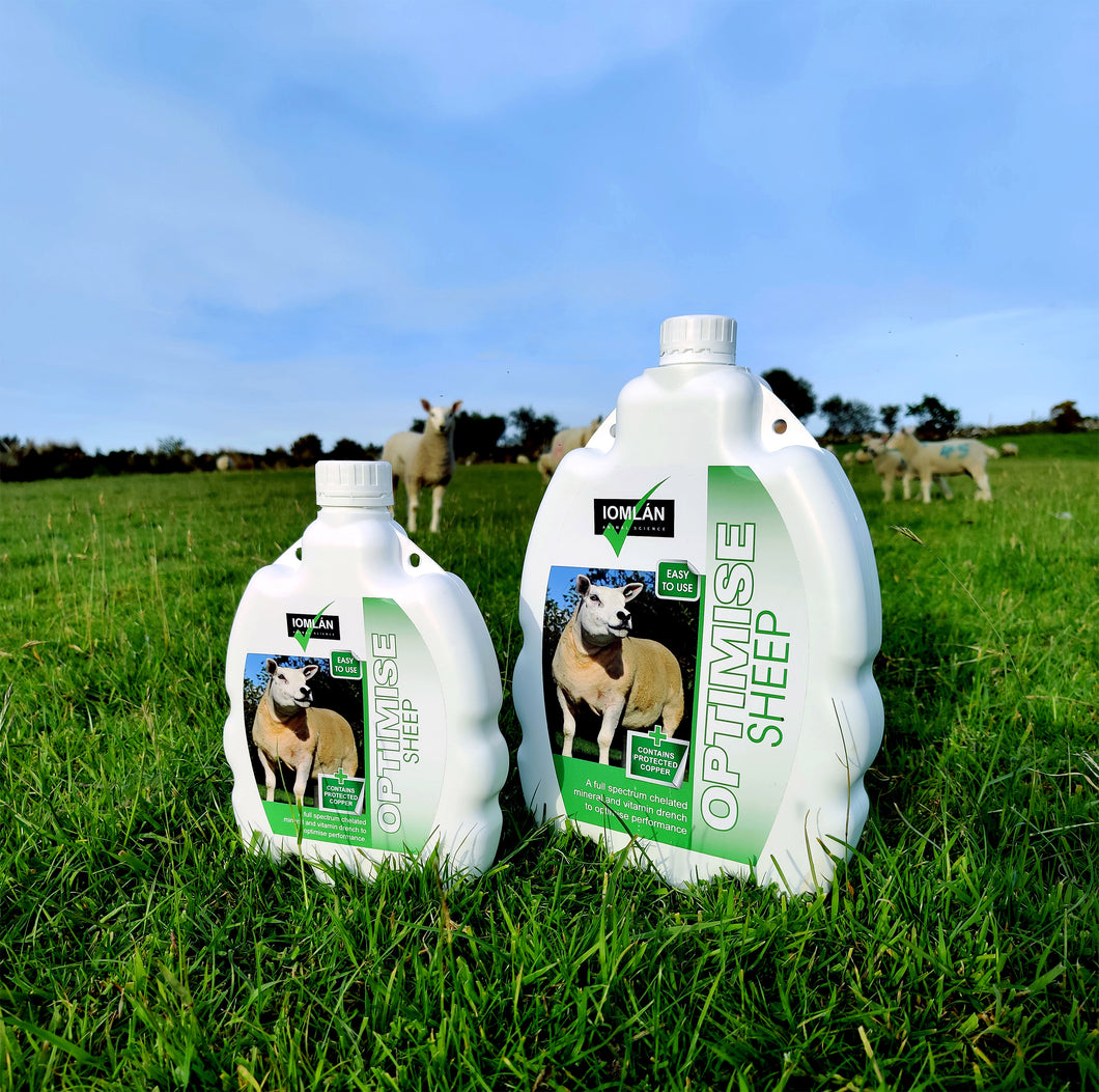 Optimise sheep drench (Special Offer) 5L + 1L Free - Sheepproducts.ie