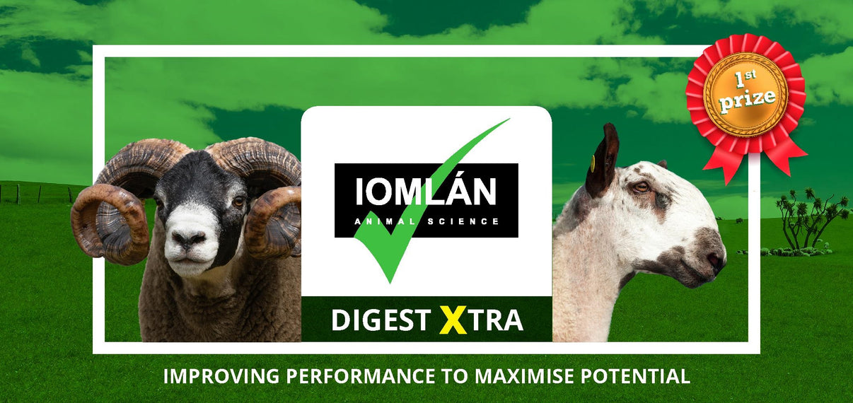 Digest Xtra - Sheepproducts.ie