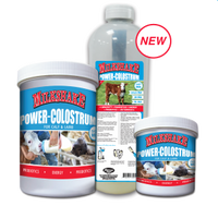 Milkshake power colostrum