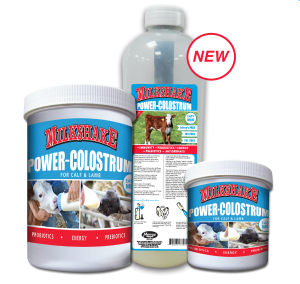 Milkshake power colostrum