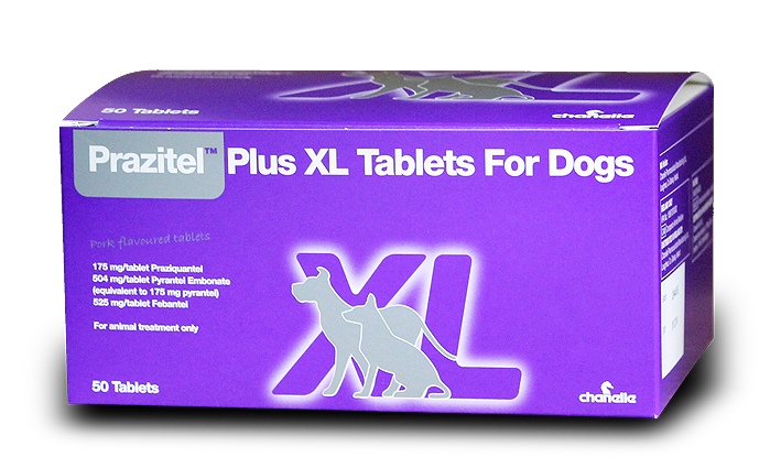 Prazitel XL Plus tablets for dogs - Sheepproducts.ie