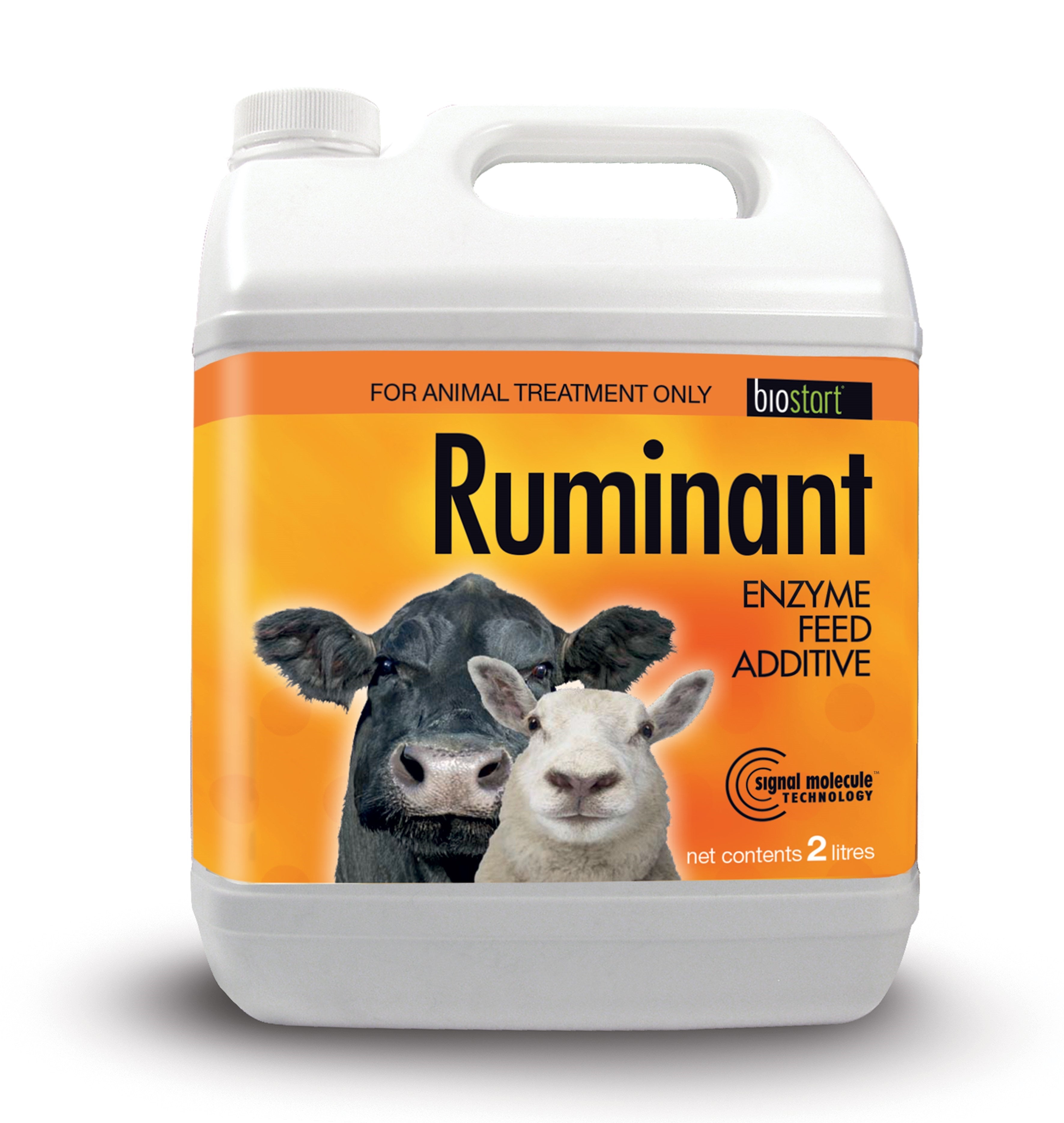 Ruminant – Sheepproducts.ie