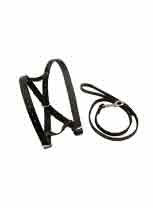 Show halter - Sheepproducts.ie