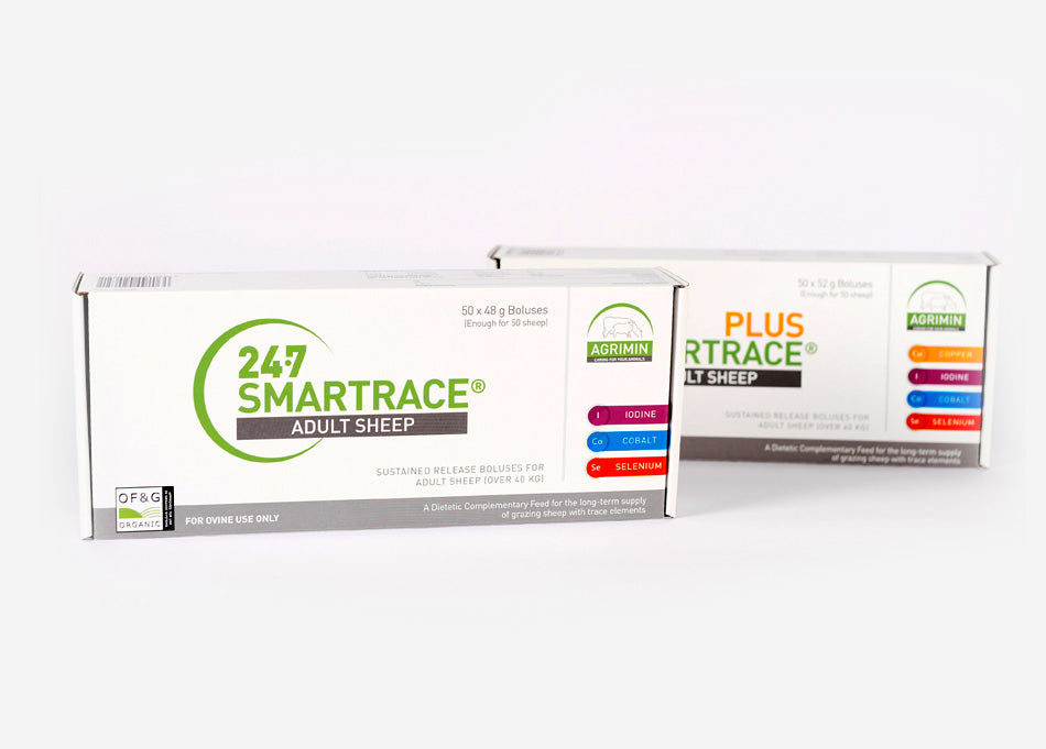 Agrimin 24/7 Smart trace 50's (Breeding ewe) - Sheepproducts.ie