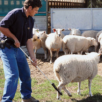 New Zealand Super Crook - Sheepproducts.ie