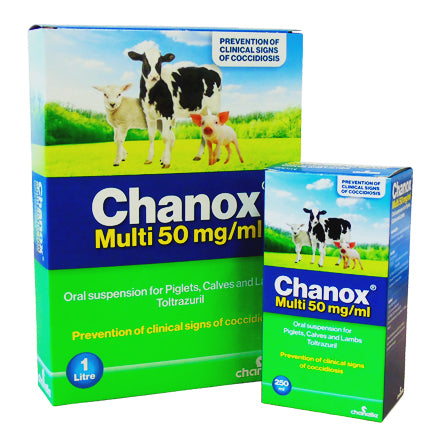 Chanox (Special Offer) - Sheepproducts.ie