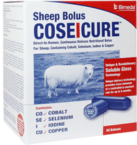 CoseIcure Sheep bolus (50 pack) - Sheepproducts.ie