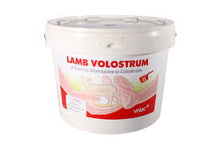 Volostrum (Lamb colostrum) - Sheepproducts.ie