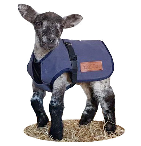 Canvas Lamb coat wool lined Sheepproducts.ie
